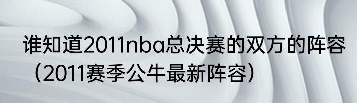 谁知道2011nba总决赛的双方的阵容（2011赛季公牛最新阵容）