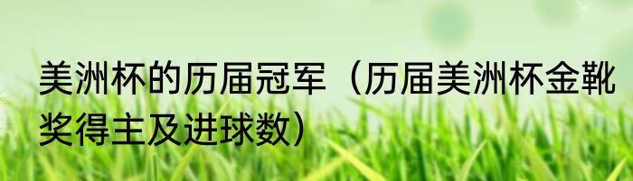 美洲杯的历届冠军（历届美洲杯金靴奖得主及进球数）