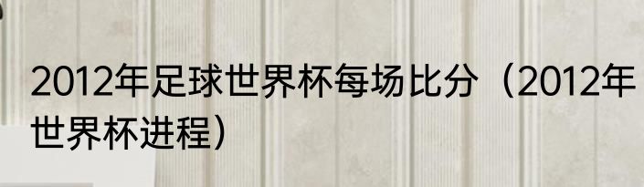2012年足球世界杯每场比分（2012年世界杯进程）