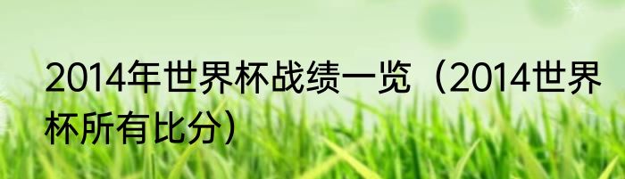 2014年世界杯战绩一览（2014世界杯所有比分）