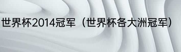 世界杯2014冠军（世界杯各大洲冠军）