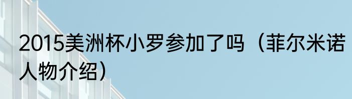 2015美洲杯小罗参加了吗（菲尔米诺人物介绍）