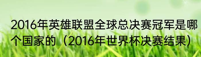 2016年英雄联盟全球总决赛冠军是哪个国家的（2016年世界杯决赛结果）
