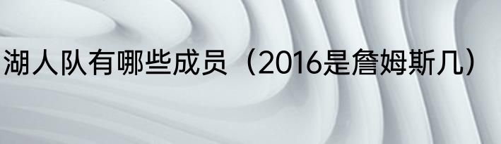 湖人队有哪些成员（2016是詹姆斯几）
