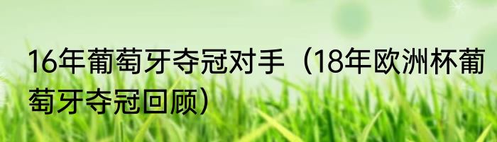 16年葡萄牙夺冠对手（18年欧洲杯葡萄牙夺冠回顾）