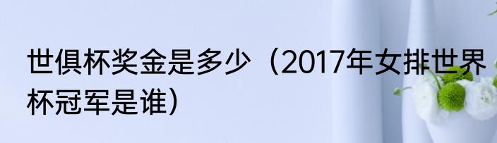 世俱杯奖金是多少（2017年女排世界杯冠军是谁）