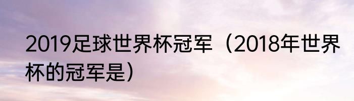 2019足球世界杯冠军（2018年世界杯的冠军是）