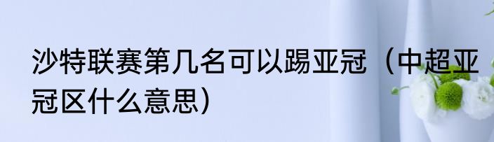 沙特联赛第几名可以踢亚冠（中超亚冠区什么意思）