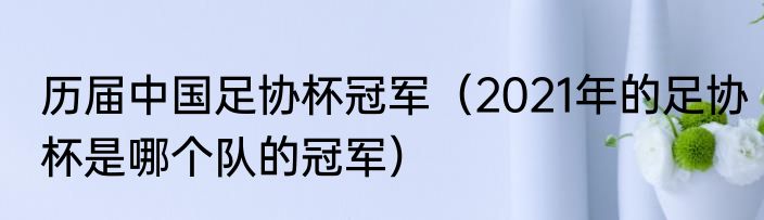 历届中国足协杯冠军（2021年的足协杯是哪个队的冠军）