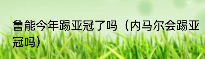 鲁能今年踢亚冠了吗（内马尔会踢亚冠吗）