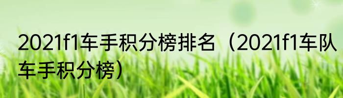2021f1车手积分榜排名（2021f1车队车手积分榜）