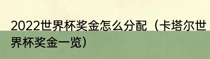 2022世界杯奖金怎么分配（卡塔尔世界杯奖金一览）