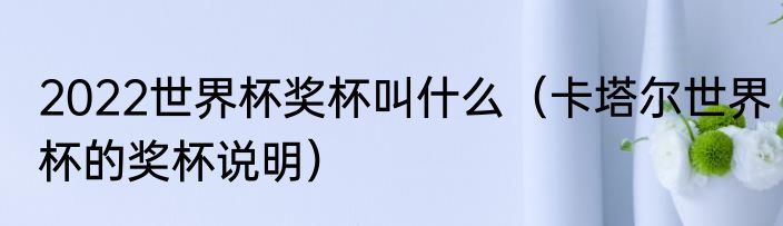 2022世界杯奖杯叫什么（卡塔尔世界杯的奖杯说明）