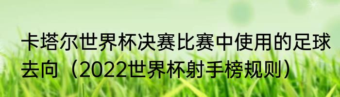 卡塔尔世界杯决赛比赛中使用的足球去向（2022世界杯射手榜规则）
