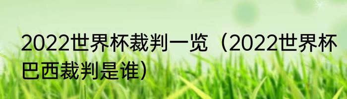 2022世界杯裁判一览（2022世界杯巴西裁判是谁）