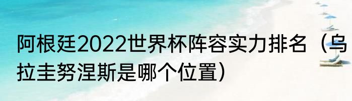 阿根廷2022世界杯阵容实力排名（乌拉圭努涅斯是哪个位置）