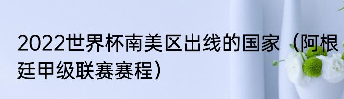 2022世界杯南美区出线的国家（阿根廷甲级联赛赛程）