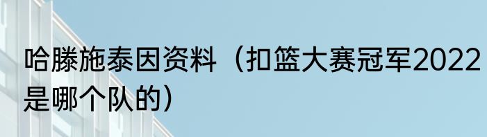 哈滕施泰因资料（扣篮大赛冠军2022是哪个队的）