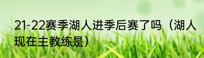 21-22赛季湖人进季后赛了吗（湖人现在主教练是）