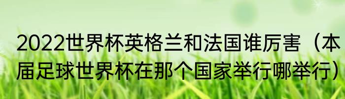 2022世界杯英格兰和法国谁厉害（本届足球世界杯在那个国家举行哪举行）