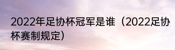 2022年足协杯冠军是谁（2022足协杯赛制规定）