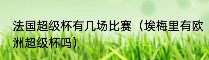 法国超级杯有几场比赛（埃梅里有欧洲超级杯吗）
