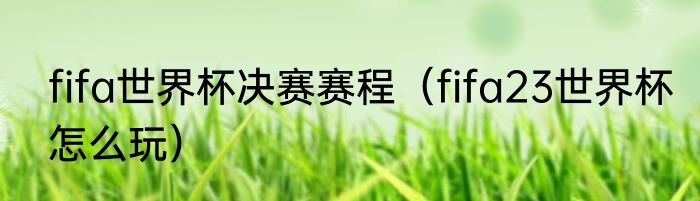 fifa世界杯决赛赛程（fifa23世界杯怎么玩）