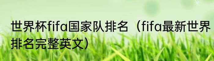 世界杯fifa国家队排名（fifa最新世界排名完整英文）
