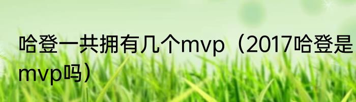 哈登一共拥有几个mvp（2017哈登是mvp吗）