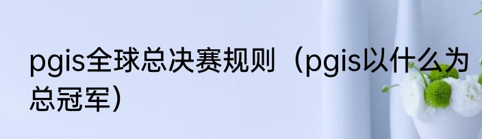 pgis全球总决赛规则（pgis以什么为总冠军）