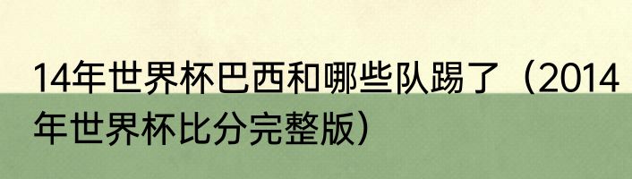 14年世界杯巴西和哪些队踢了（2014年世界杯比分完整版）