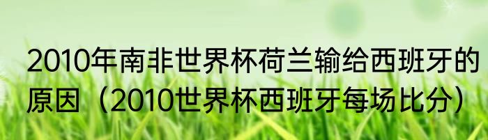 2010年南非世界杯荷兰输给西班牙的原因（2010世界杯西班牙每场比分）
