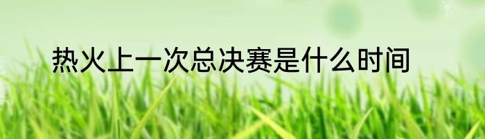 热火上一次总决赛是什么时间