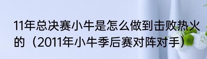 11年总决赛小牛是怎么做到击败热火的（2011年小牛季后赛对阵对手）