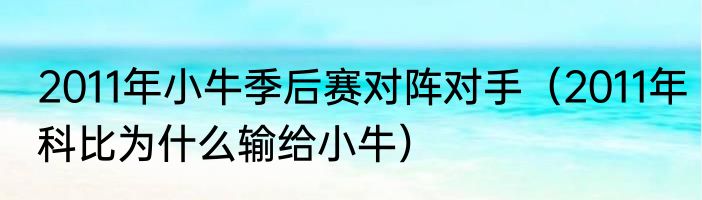 2011年小牛季后赛对阵对手（2011年科比为什么输给小牛）