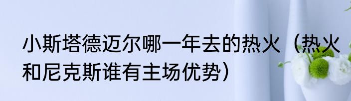 小斯塔德迈尔哪一年去的热火（热火和尼克斯谁有主场优势）