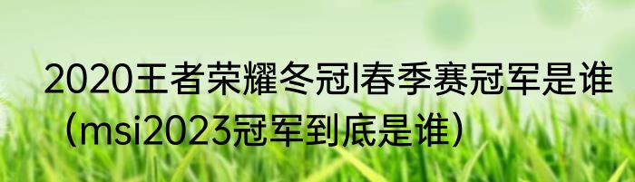 2020王者荣耀冬冠l春季赛冠军是谁（msi2023冠军到底是谁）