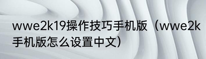 wwe2k19操作技巧手机版（wwe2k手机版怎么设置中文）