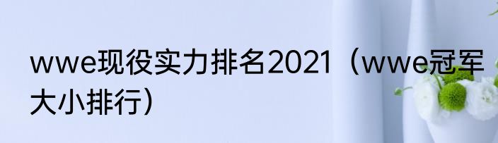 wwe现役实力排名2021（wwe冠军大小排行）