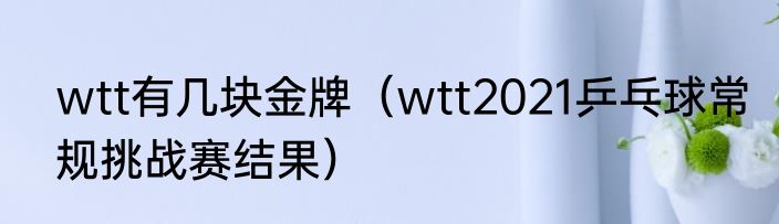 wtt有几块金牌（wtt2021乒乓球常规挑战赛结果）