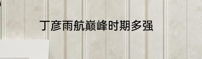 丁彦雨航巅峰时期多强