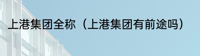 上港集团全称（上港集团有前途吗）
