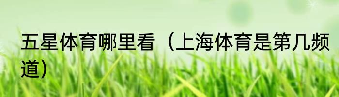 五星体育哪里看（上海体育是第几频道）