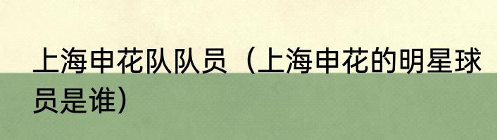 上海申花队队员（上海申花的明星球员是谁）