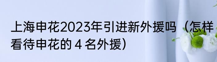 上海申花2023年引进新外援吗（怎样看待申花的４名外援）