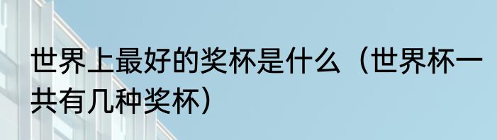 世界上最好的奖杯是什么（世界杯一共有几种奖杯）