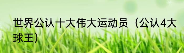 世界公认十大伟大运动员（公认4大球王）