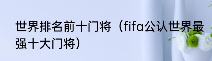 世界排名前十门将（fifa公认世界最强十大门将）