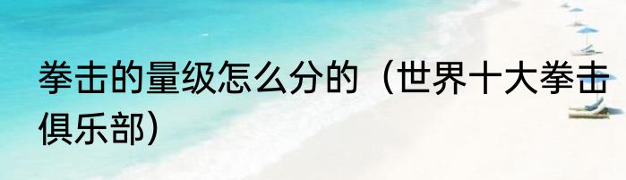 拳击的量级怎么分的（世界十大拳击俱乐部）