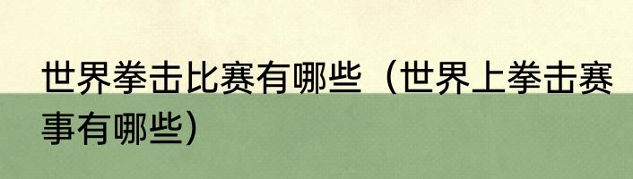 世界拳击比赛有哪些（世界上拳击赛事有哪些）